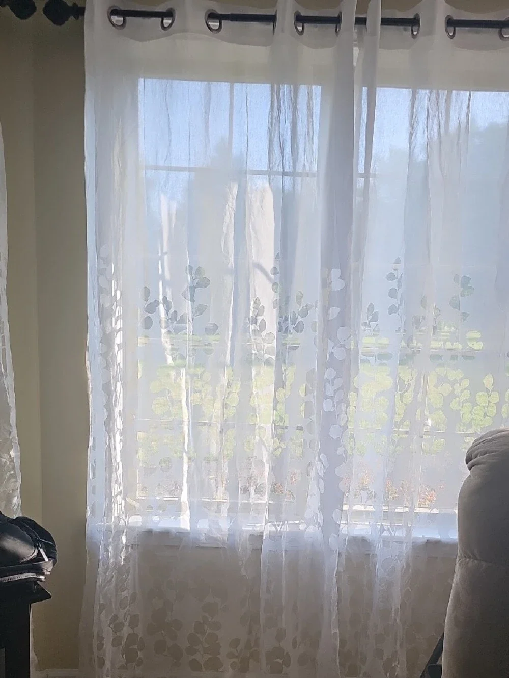 Sheer White Leaf Grommet Window Curtain Panel Wilshire Burnout 54wx84L- Set Of 8